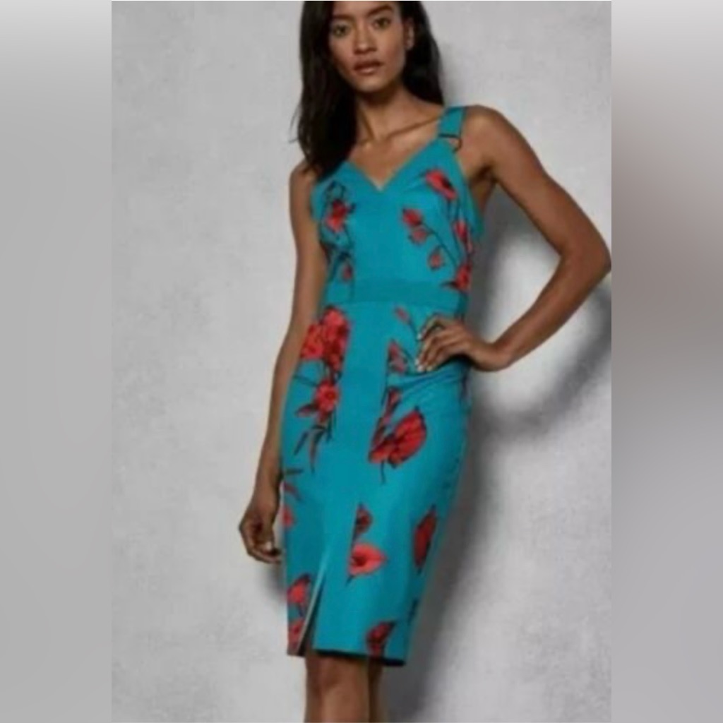 Hot!! Ted Baker Jordan Fantasia Bodycon Us 3/4 So Popular!